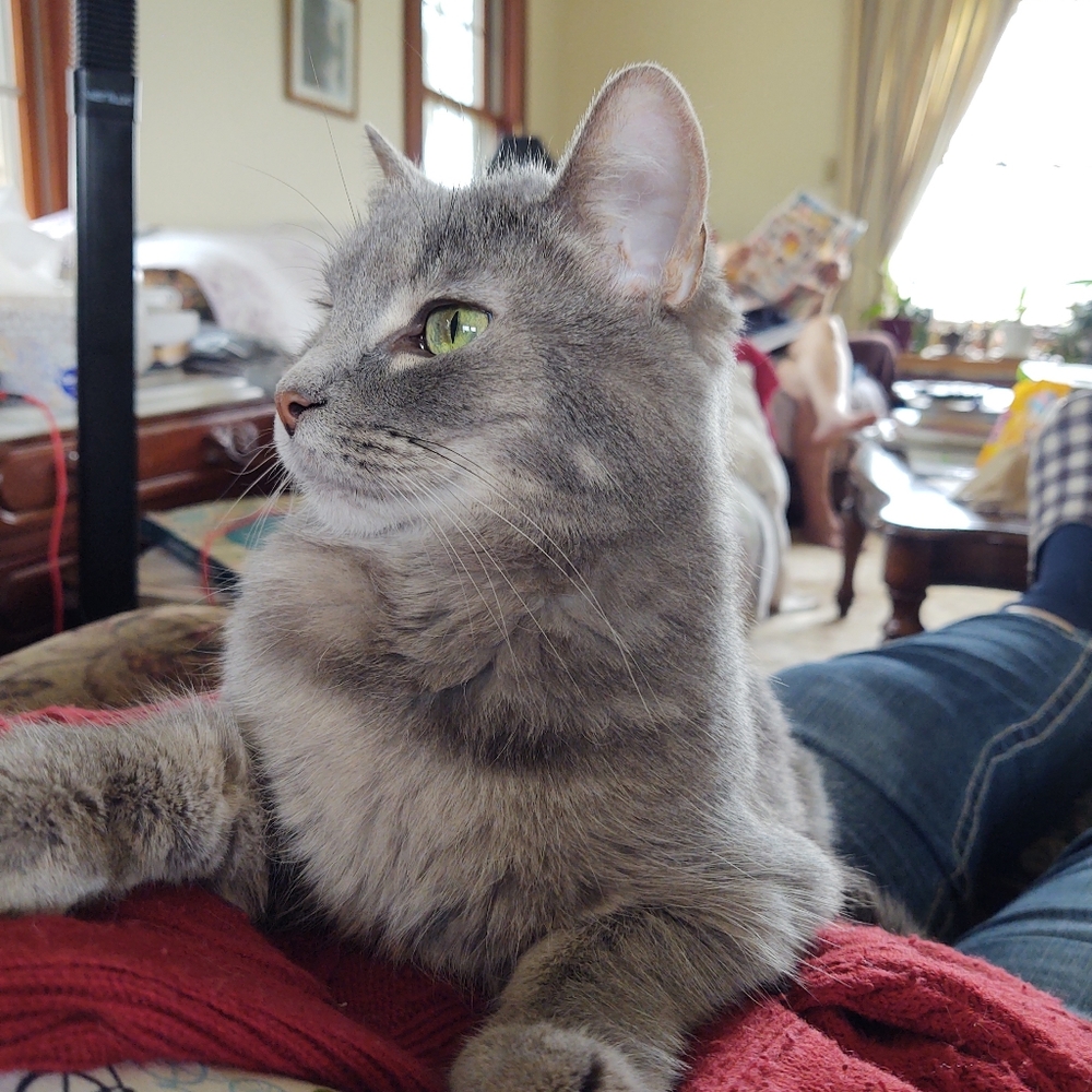 Is this my best side?  Or.......?